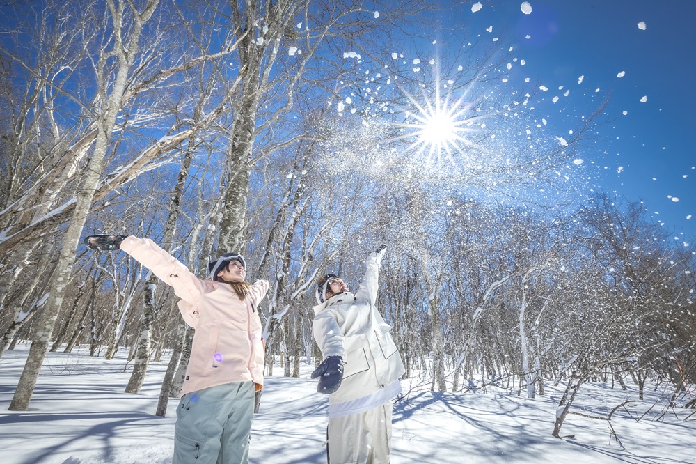 たんばらスキーパーク周辺の宿泊情報