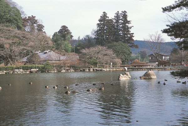 乃木公園