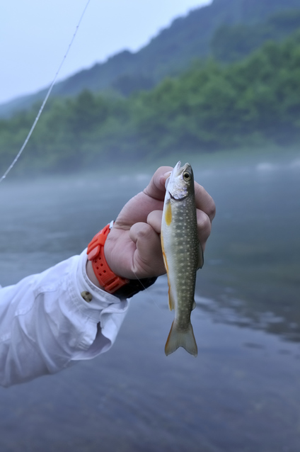 いよいよ 渓流釣り解禁 バス観光マガジン