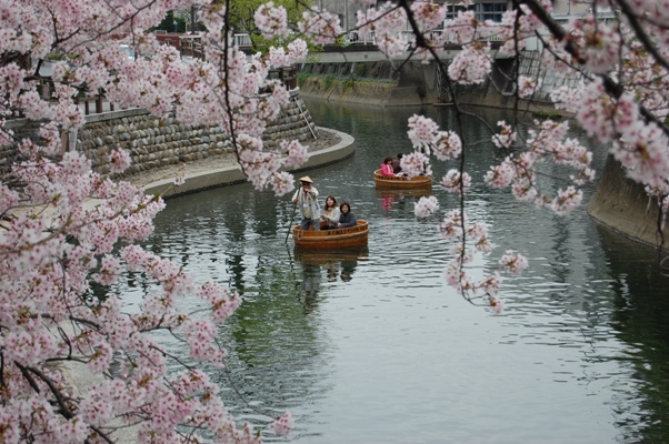 13年 ゆるりと舟下りで桜見物 バス観光マガジン