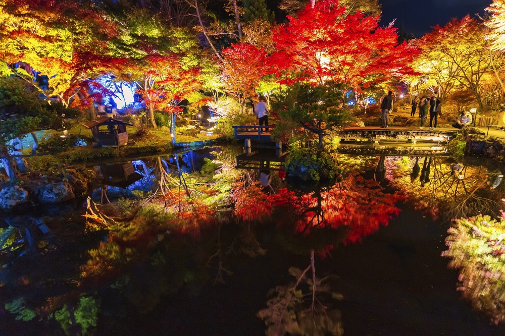 天守閣自然公園「秋保ナイトミュージアム」