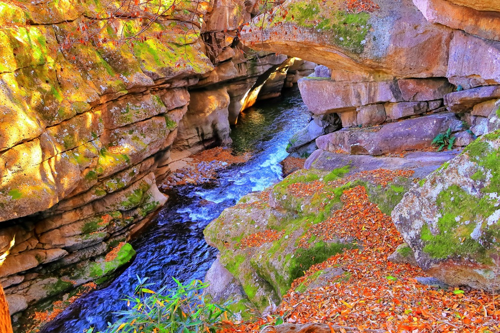 磊々峡の紅葉