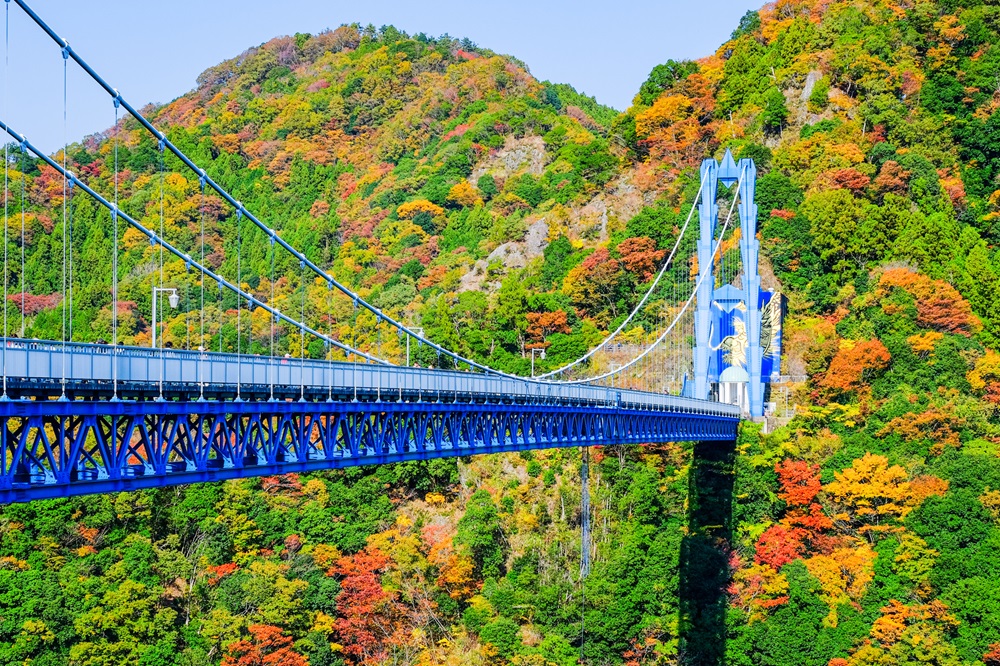 竜神大吊橋