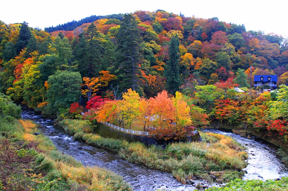 「中野もみじ山」