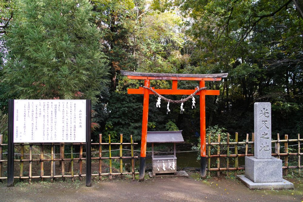 鷲宮神社 光天之池（みひかりのいけ）