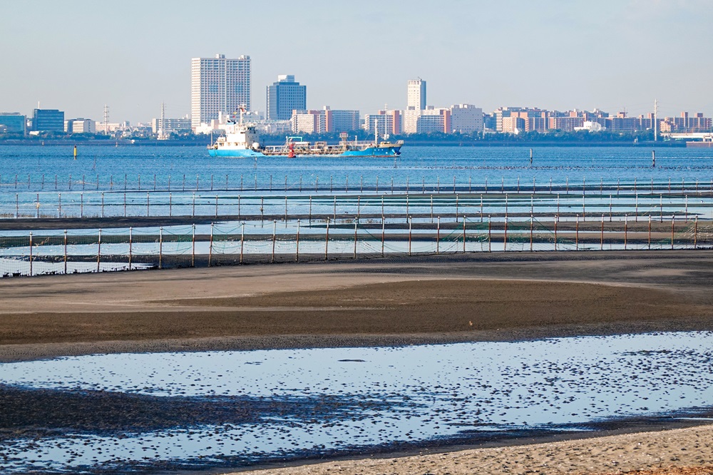 ふなばし三番瀬海浜公園