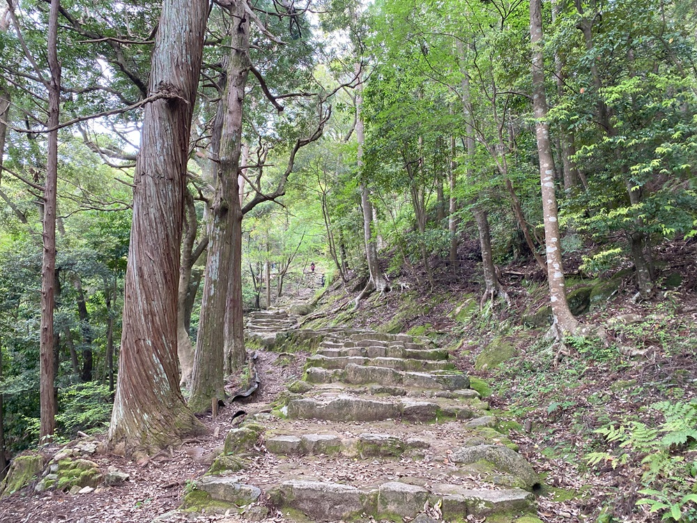 足元を見て、遠くを見ないのが下りのコツ