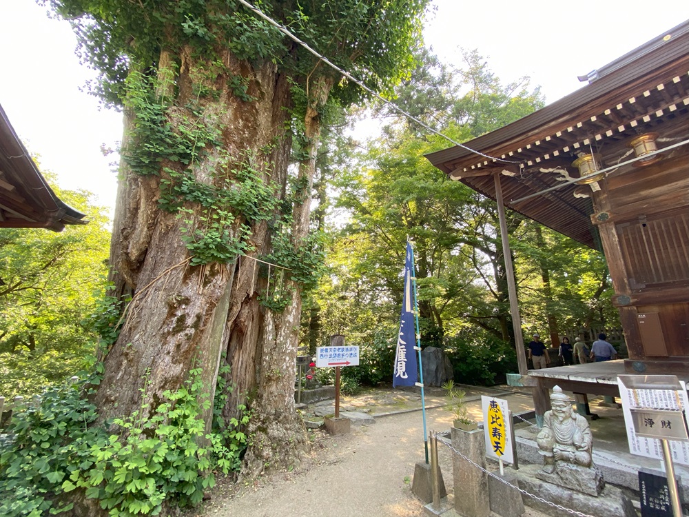 頓証寺殿（とんしょうじでん）

