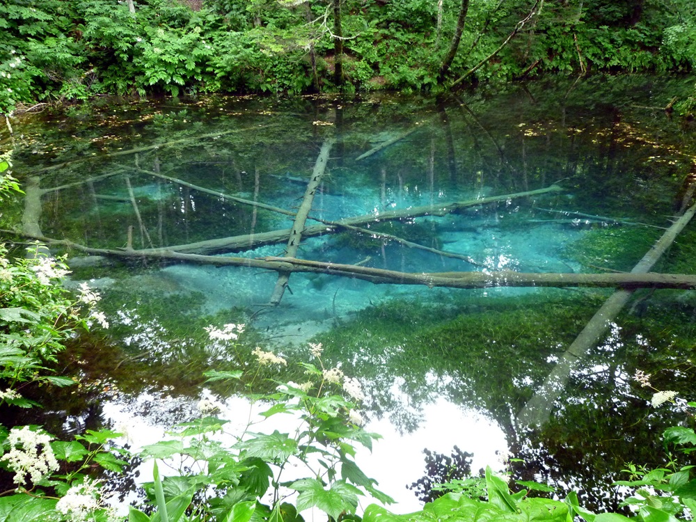 摩周湖の近くにある神の子池