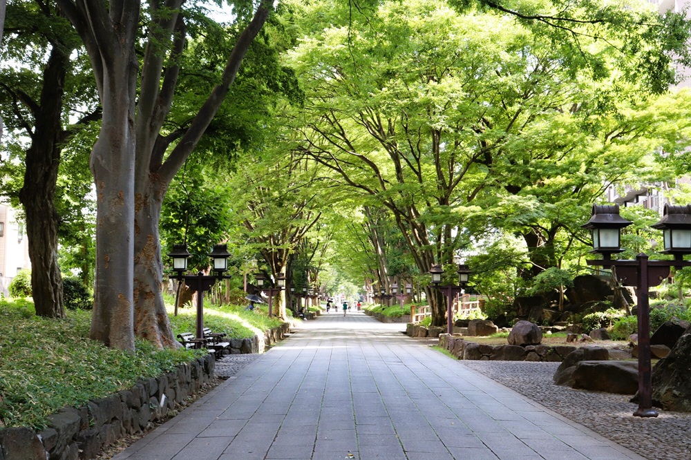 ともかく長い参道