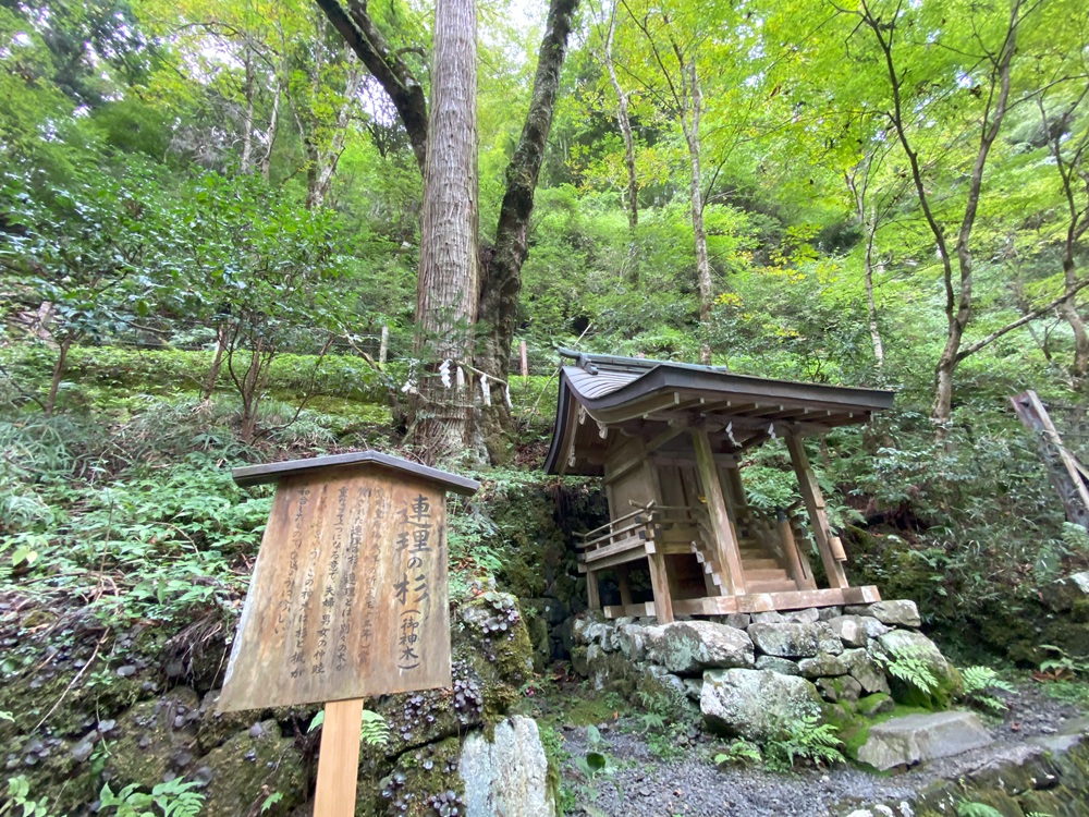 御神木・連理の杉