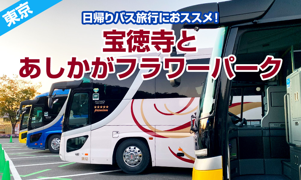 東京から貸切バスで2時間強で移動できる日帰りバスツアー。宝徳寺とあしかがフラワーパークへ