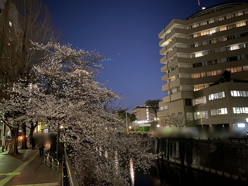 毎年お花見客が大勢訪れる目黒川沿い